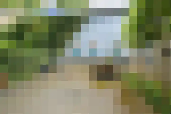 Heuvel 5 Oosterhout thumbnail 60