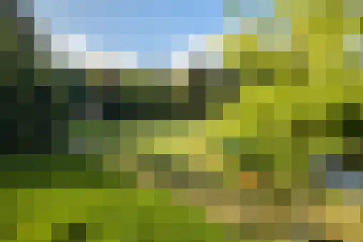 Heuvel 5 Oosterhout thumbnail 66