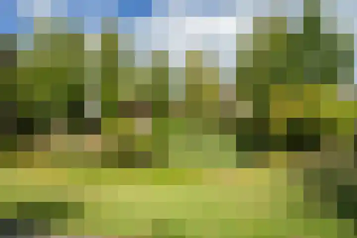 Heuvel 5 Oosterhout thumbnail 67