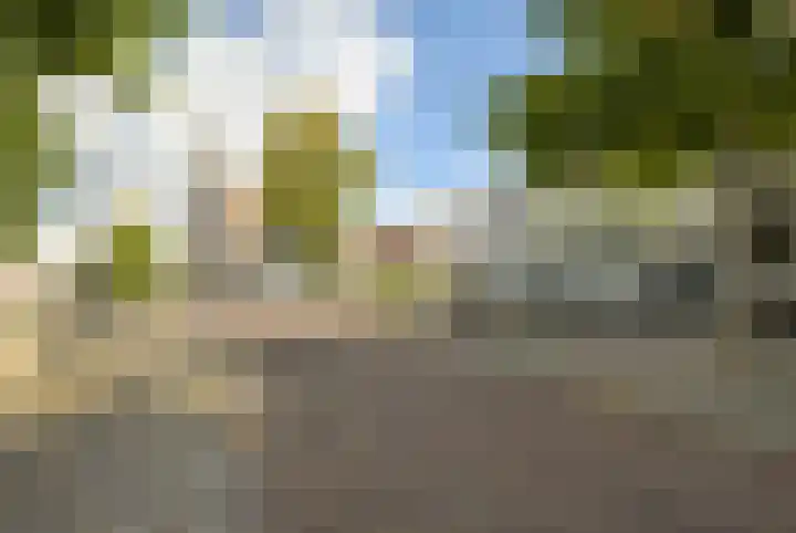 Heuvel 5 Oosterhout thumbnail 68