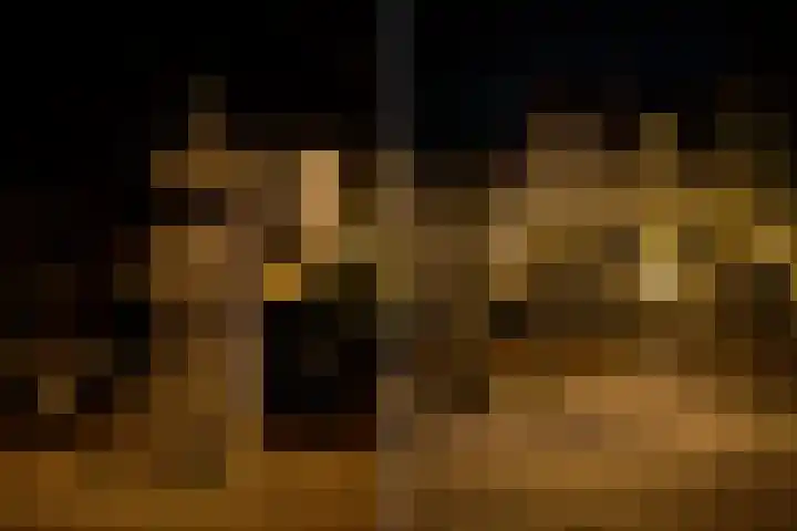 Heuvel 5 Oosterhout thumbnail 73