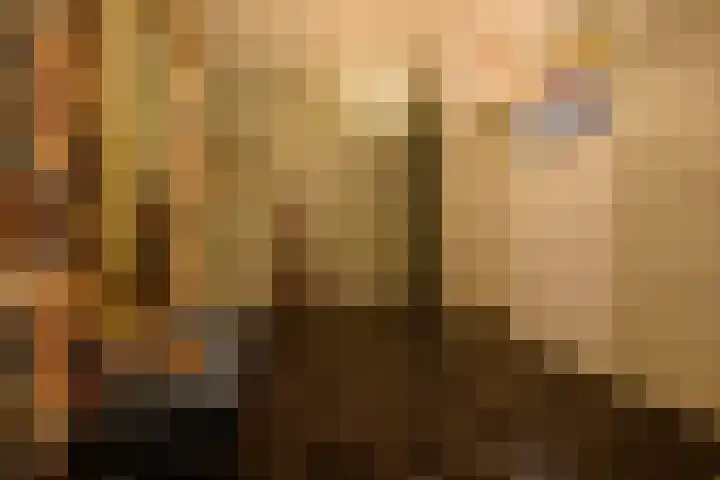 Heuvel 5 Oosterhout thumbnail 8