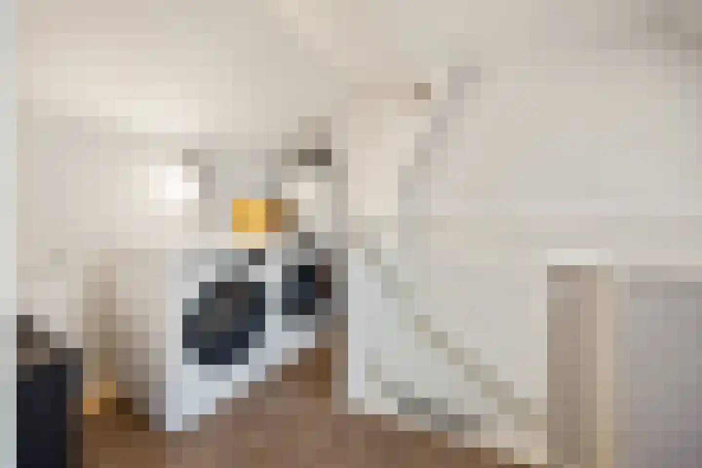 Heuvel 55 Druten thumbnail 29