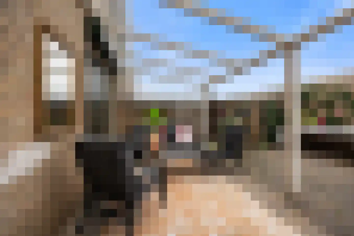 Heuvel 55 Druten thumbnail 38