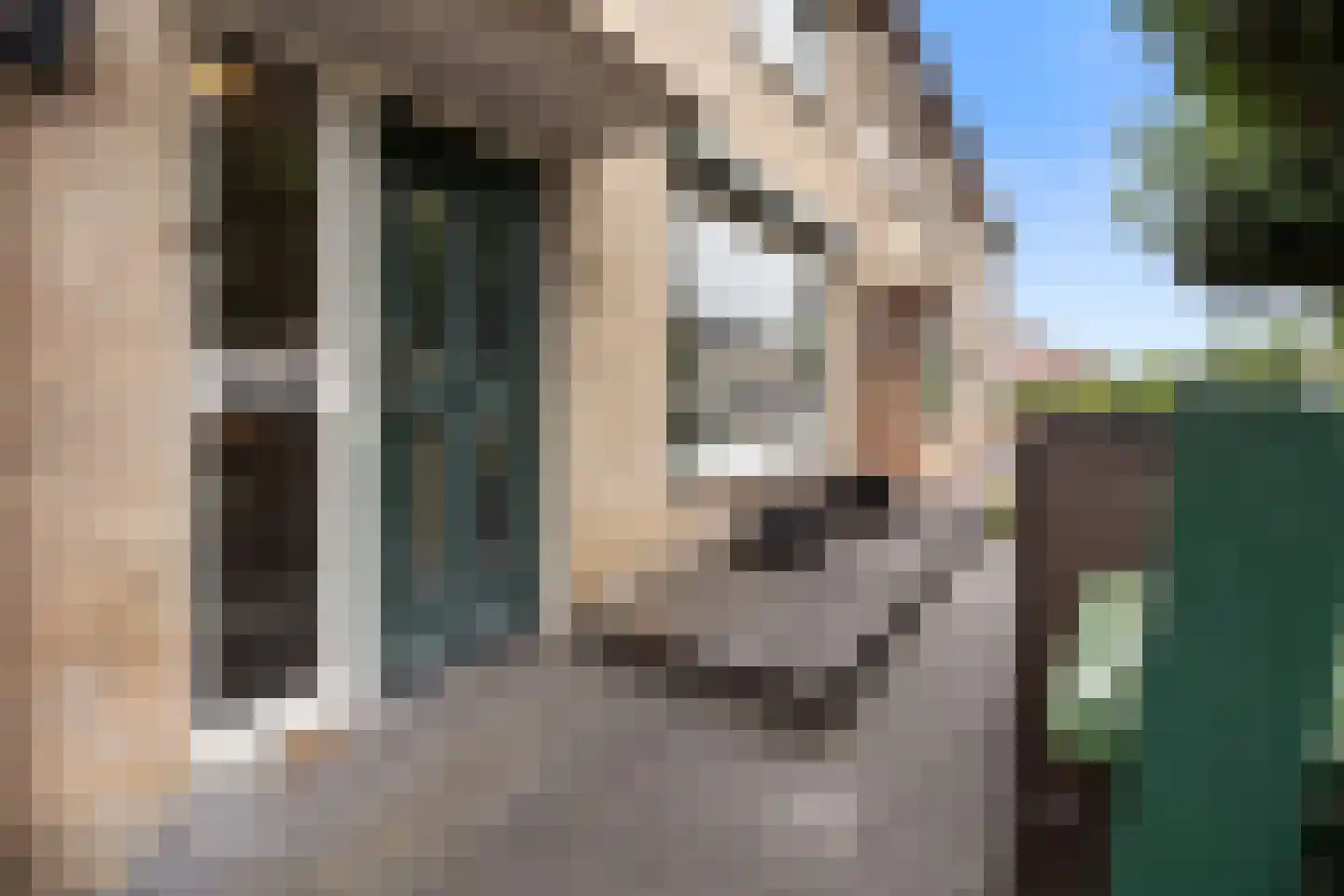 Heuvel 55 Druten thumbnail 41