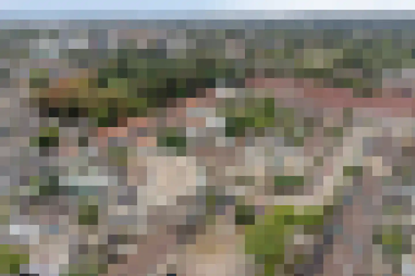 Heuvel 57 Veenendaal thumbnail 22
