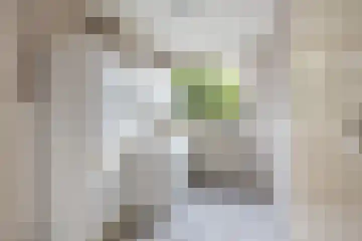 Heuvel 6 Meijel thumbnail 13
