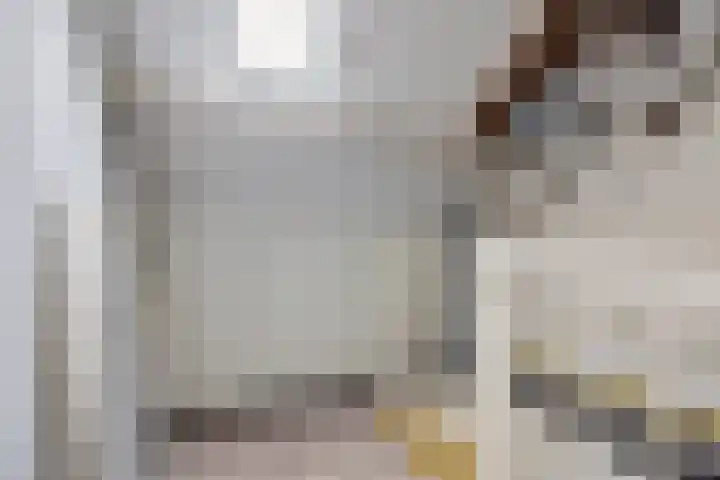Heuvel 6 Meijel thumbnail 27