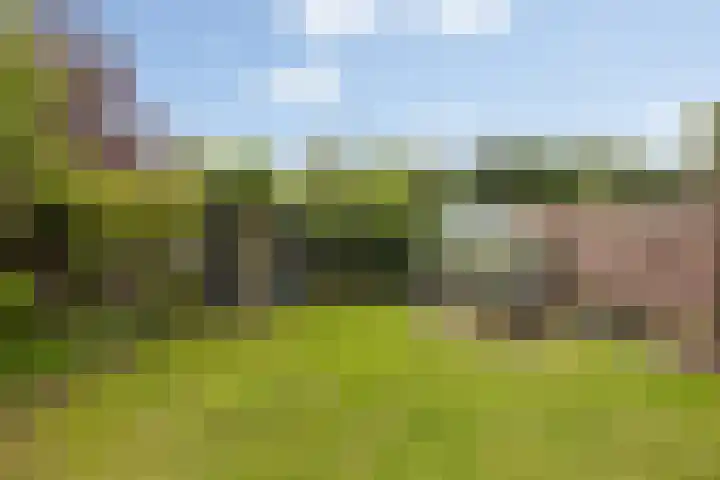 Heuvel 6 Meijel thumbnail 31