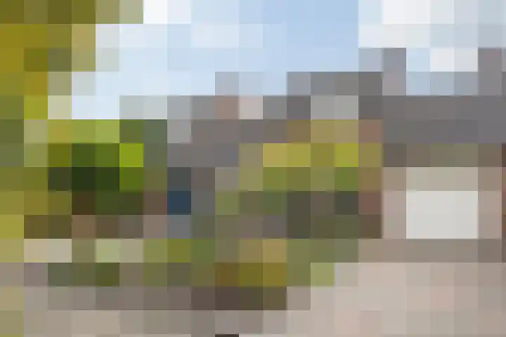 Heuvel 6 Meijel thumbnail 35