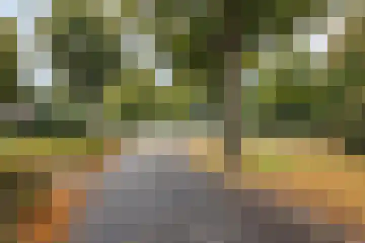 Heuvel 6 Meijel thumbnail 36