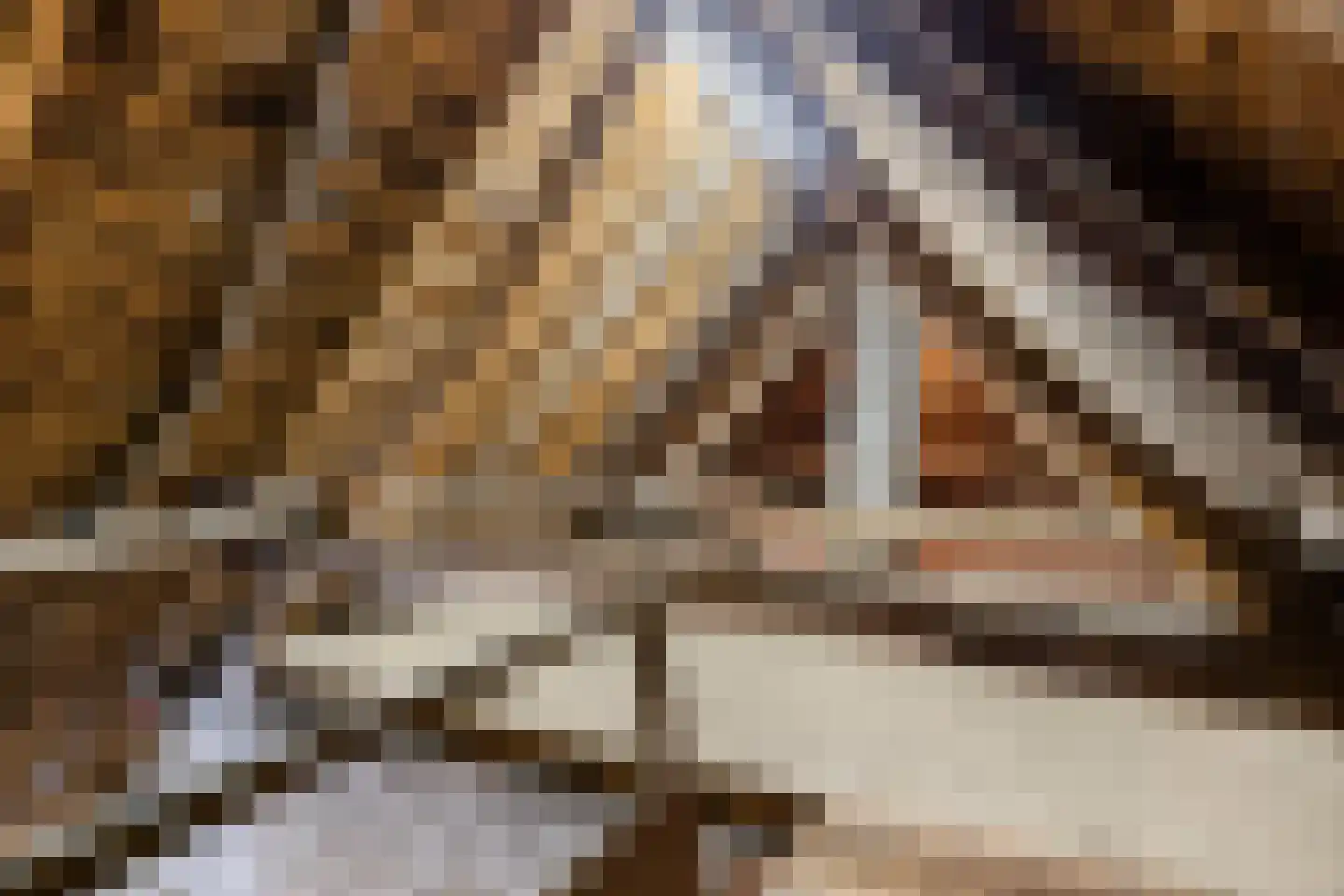Heuvel 68 Gemert thumbnail 33