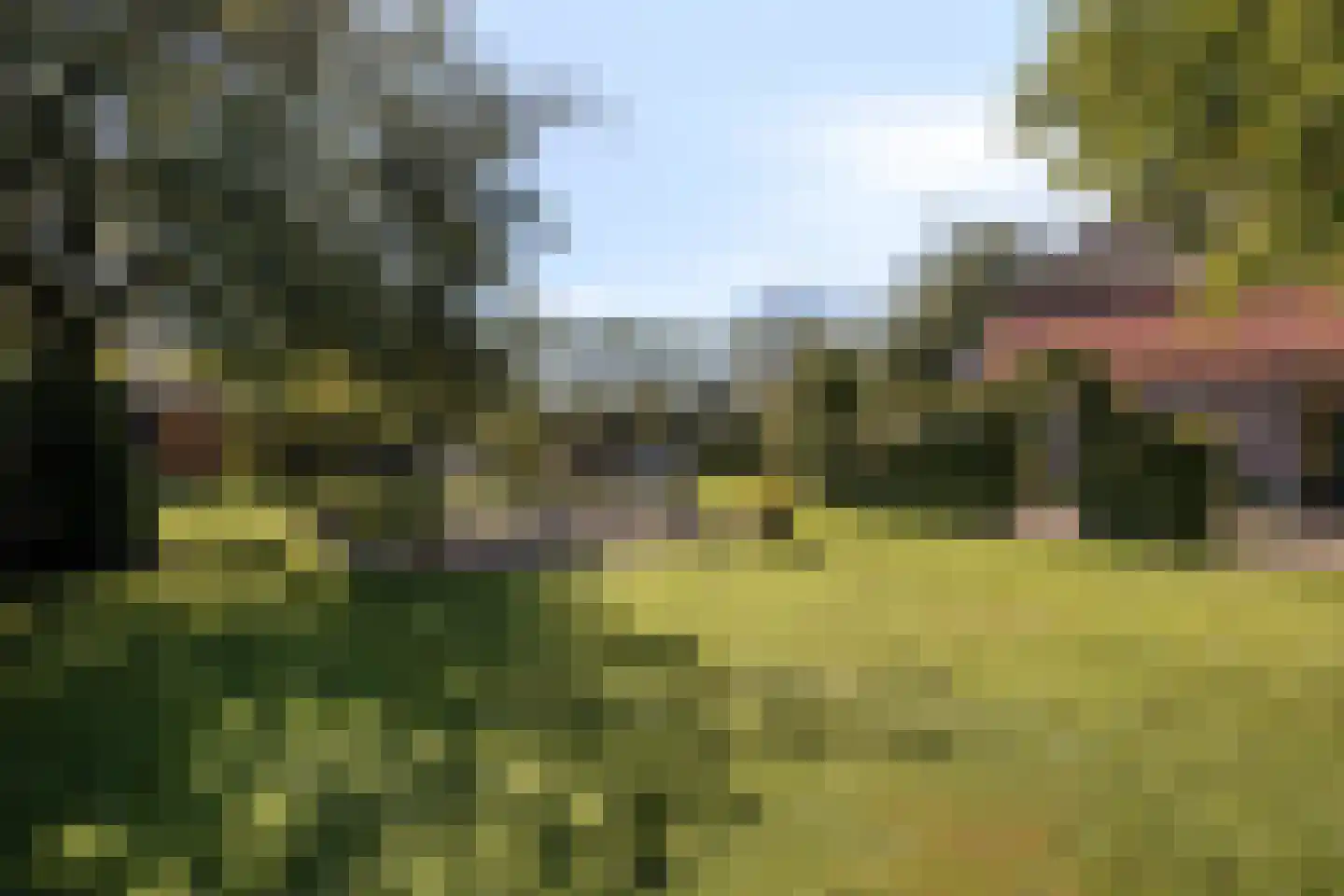 Heuvel 68 Gemert thumbnail 37