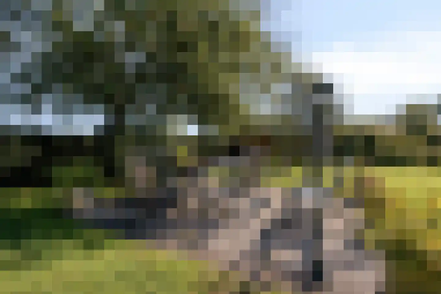 Heuvel 68 Gemert thumbnail 38