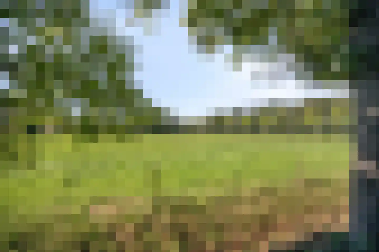 Heuvel 68 Gemert thumbnail 42