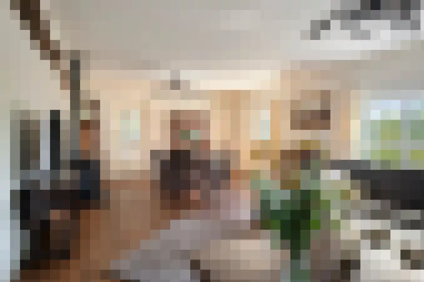 Heuvel 68 Gemert thumbnail 5