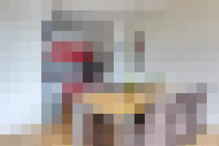 Heuvel 69 Druten thumbnail 15