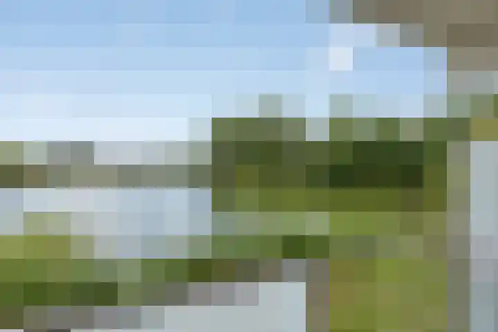 Heuvel 69 Druten thumbnail 22