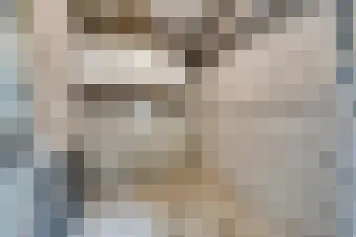 Heuvel 69 Druten thumbnail 27