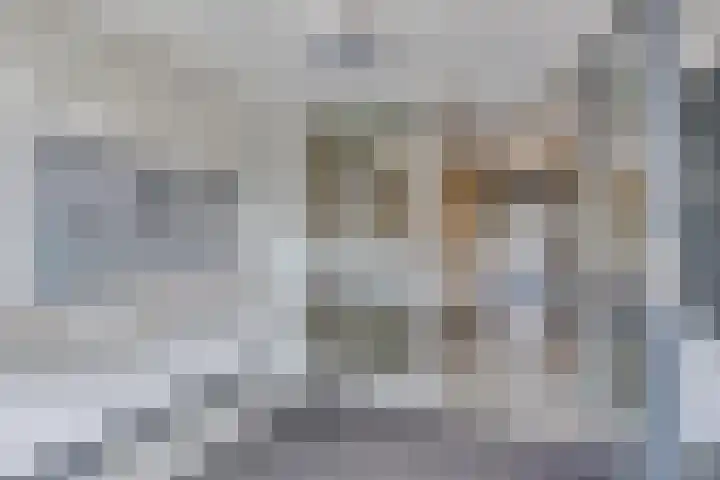 Heuvel 69 Druten thumbnail 29