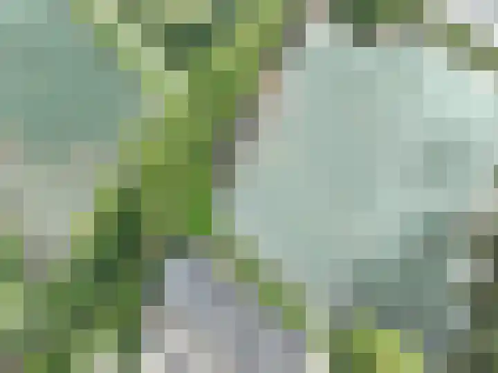 Heuvel 69 Druten thumbnail 30