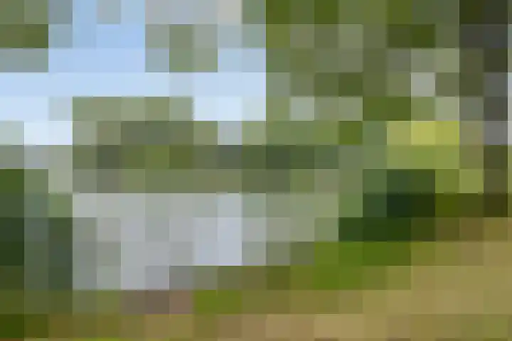 Heuvel 69 Druten thumbnail 33