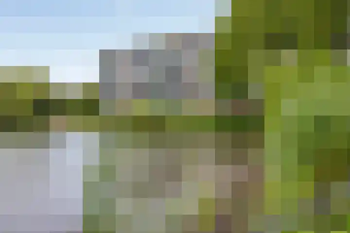 Heuvel 69 Druten thumbnail 37