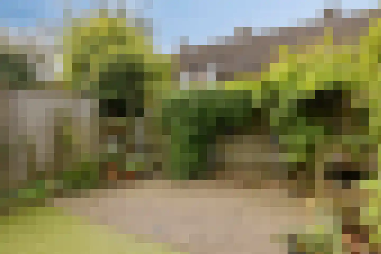 Heuvel 69 Roermond thumbnail 22