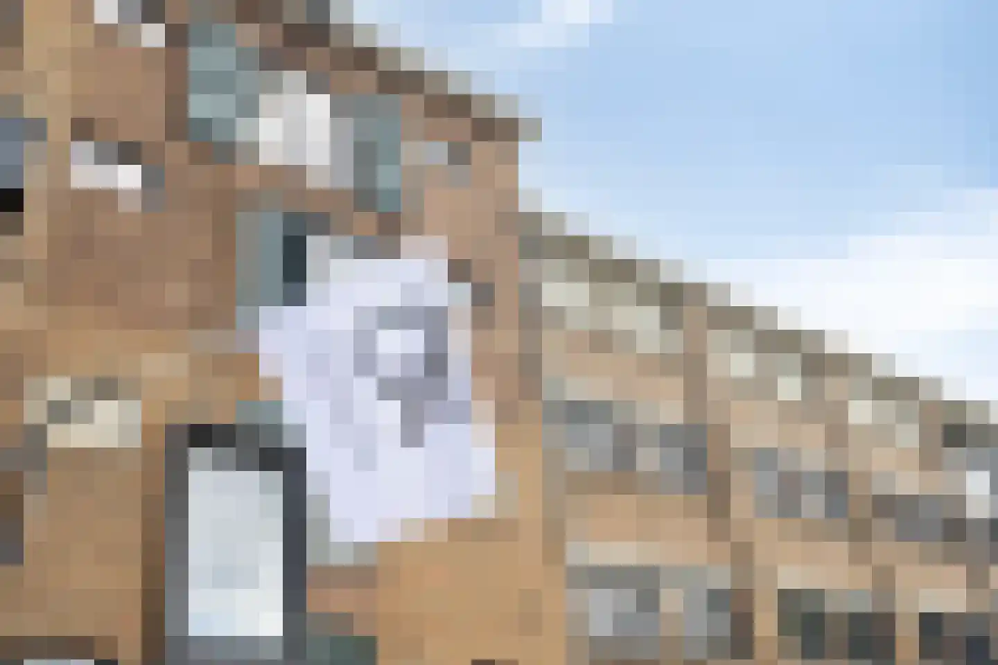 Heuvel 7 Dongen thumbnail 13