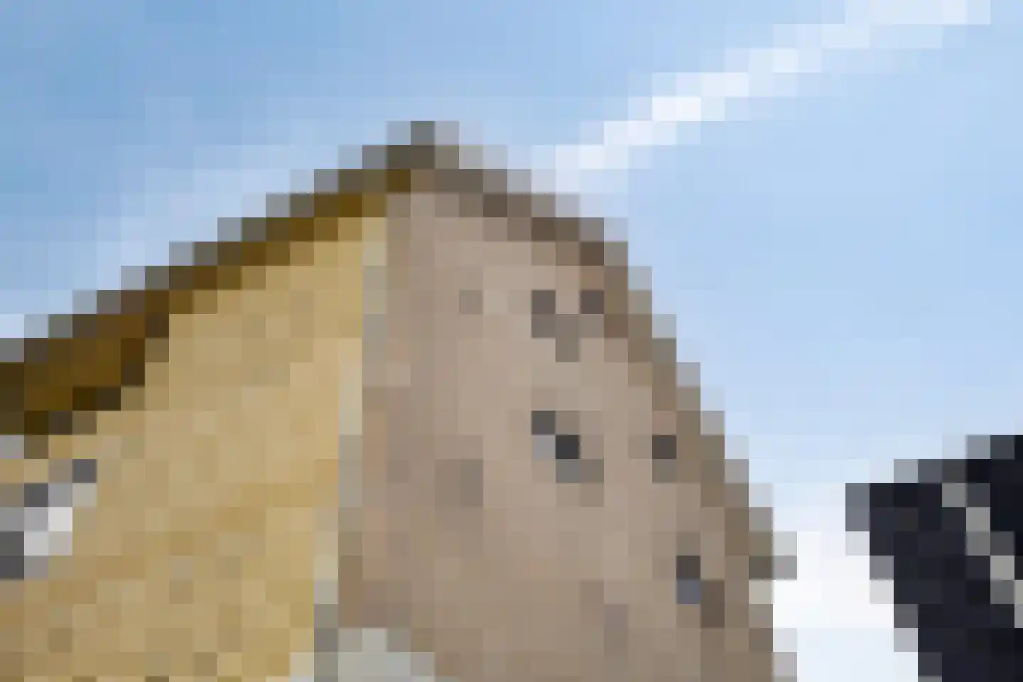 Heuvel 7 Dongen thumbnail 20