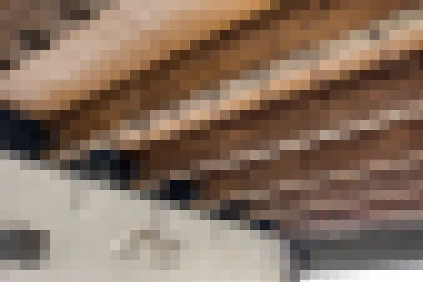 Heuvel 7 Dongen thumbnail 22
