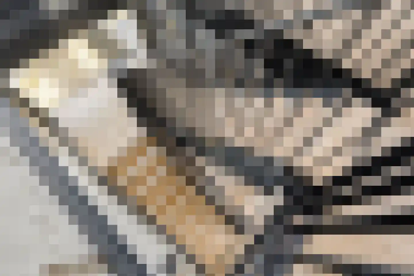 Heuvel 7 Dongen thumbnail 31