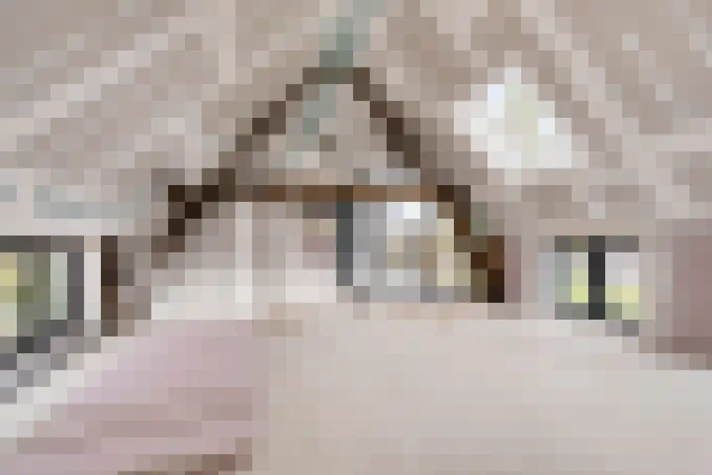 Heuvel 7 Dongen thumbnail 36