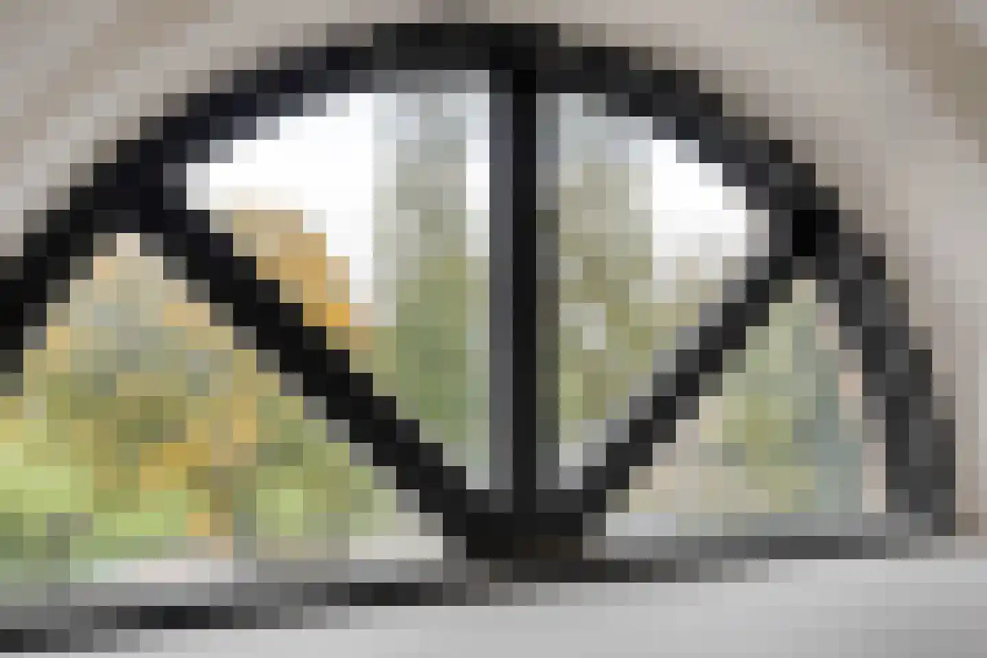 Heuvel 7 Dongen thumbnail 45