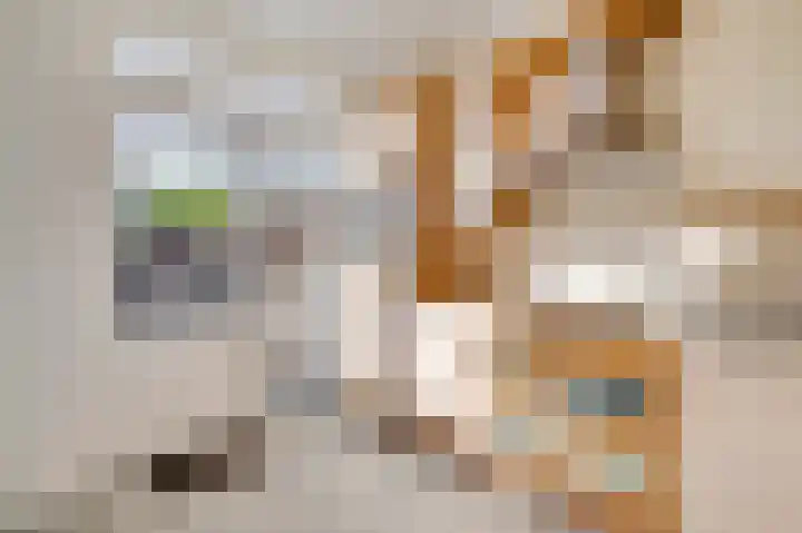 Heuvel 83 Roermond thumbnail 12