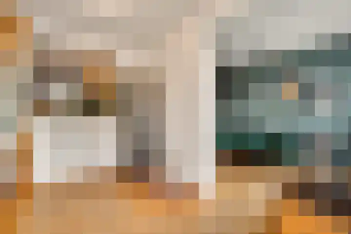 Heuvel 89 Roermond thumbnail 13