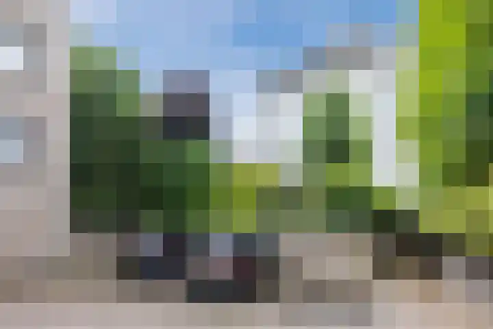 Heuvel 9 E Oosterhout thumbnail 29