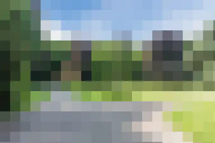Heuvel 9 E Oosterhout thumbnail 31