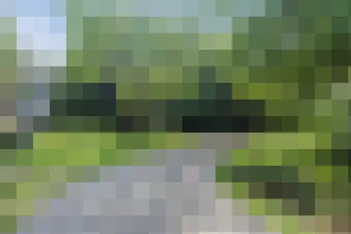 Heuvel 9 E Oosterhout thumbnail 32