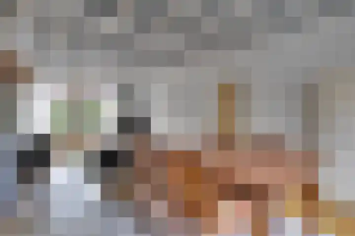 Heuvel 9 Gemert thumbnail 10