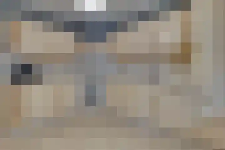 Heuvel 9 Gemert thumbnail 12