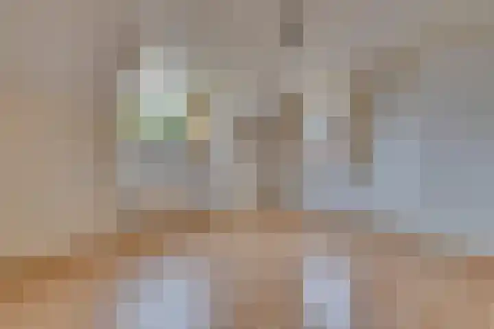 Heuvel 9 Gemert thumbnail 21
