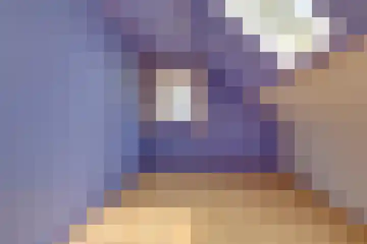 Heuvel 9 Gemert thumbnail 23