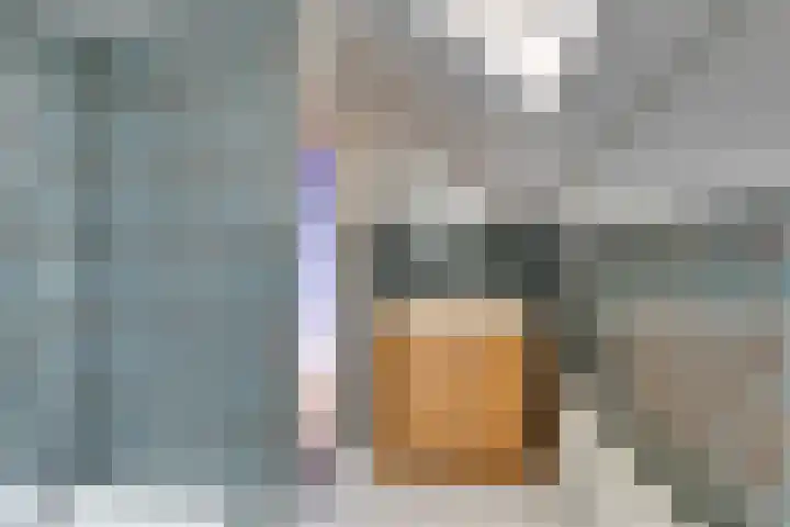 Heuvel 9 Gemert thumbnail 26