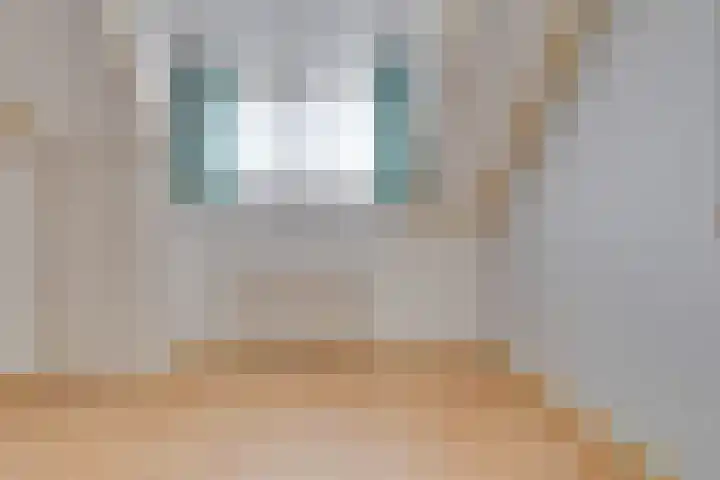 Heuvel 9 Gemert thumbnail 27