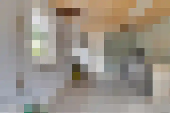 Heuvel 9 Gemert thumbnail 31