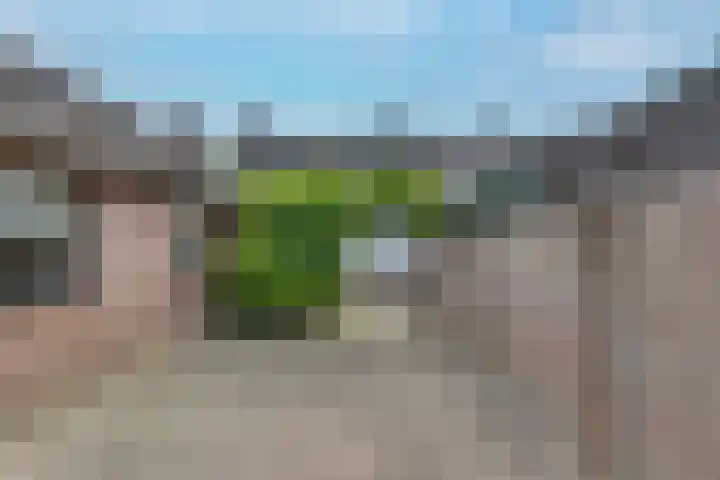 Heuvel 9 Gemert thumbnail 32
