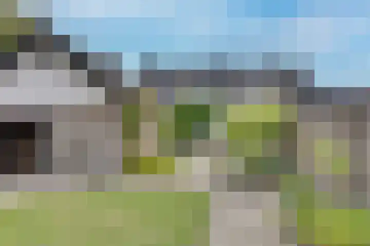 Heuvel 9 Gemert thumbnail 35