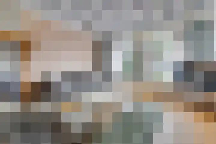 Heuvel 9 Gemert thumbnail 5