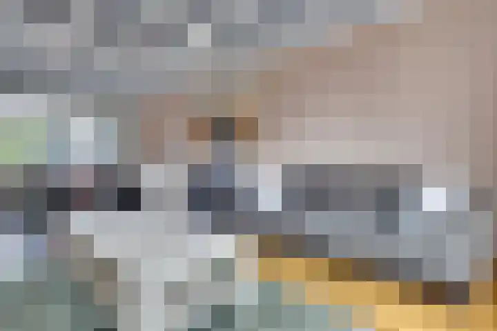 Heuvel 9 Gemert thumbnail 6